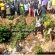 Dead Body Found In A Sewer In Manya Krobo