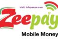 Bank of Ghana Revokes Zeepay’s Electronic Money Licence Over Regulatory Breaches
