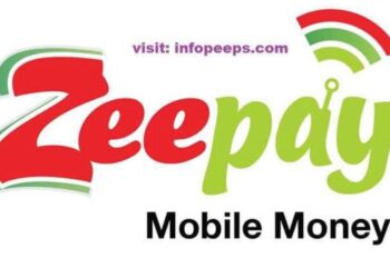 Bank of Ghana Revokes Zeepay’s Electronic Money Licence Over Regulatory Breaches